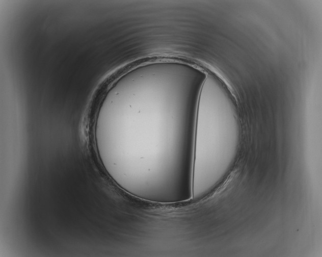 X0000102810971200808180949
