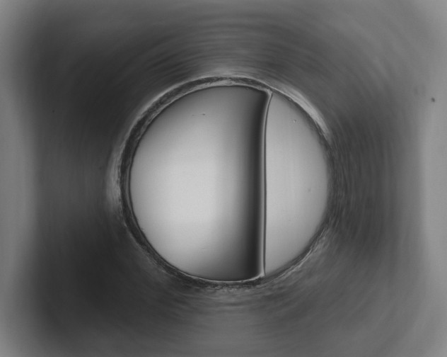 X0000102810972200808180949