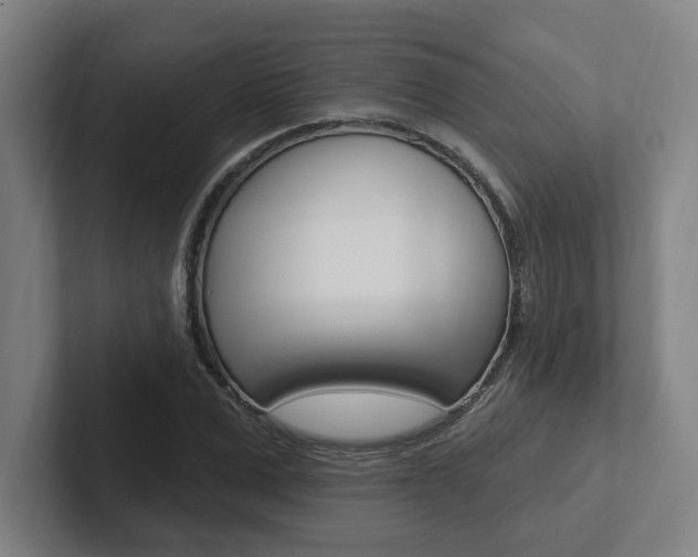 X0000102810975200808180949