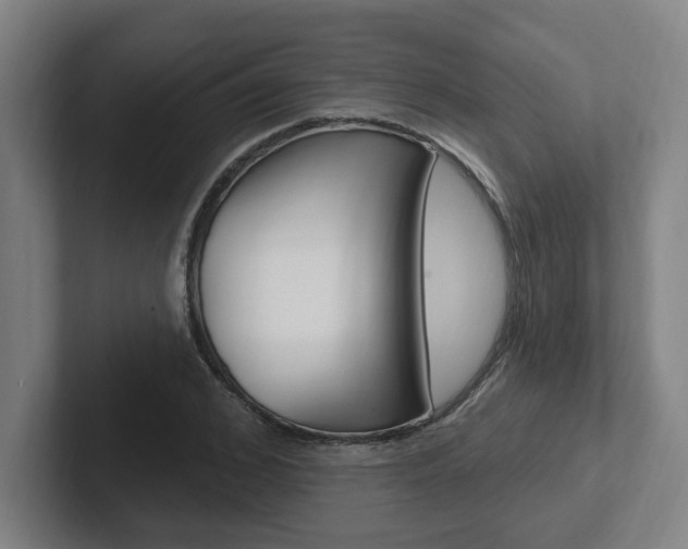 X0000102810976200808180949