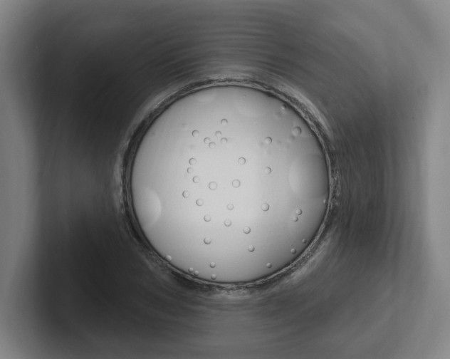 X0000102810978200808180949