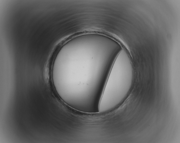X0000102810979200808180949