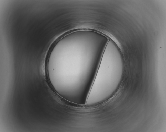 X0000102810980200808180949