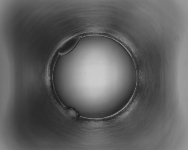X0000102810981200808180949
