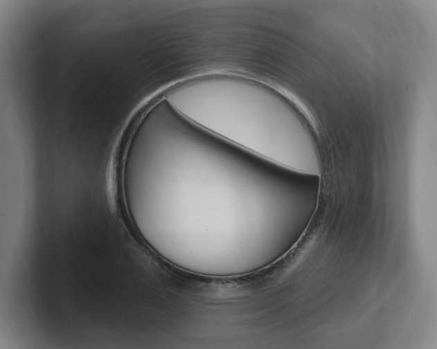 X0000102810983200808180949