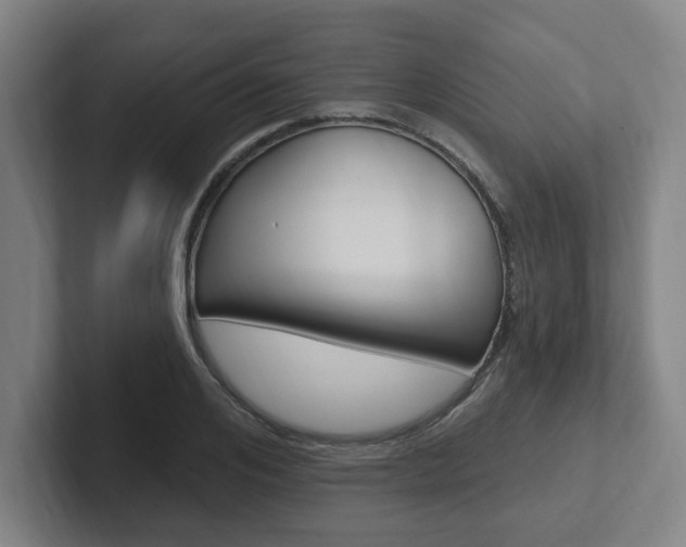 X0000102810984200808180949
