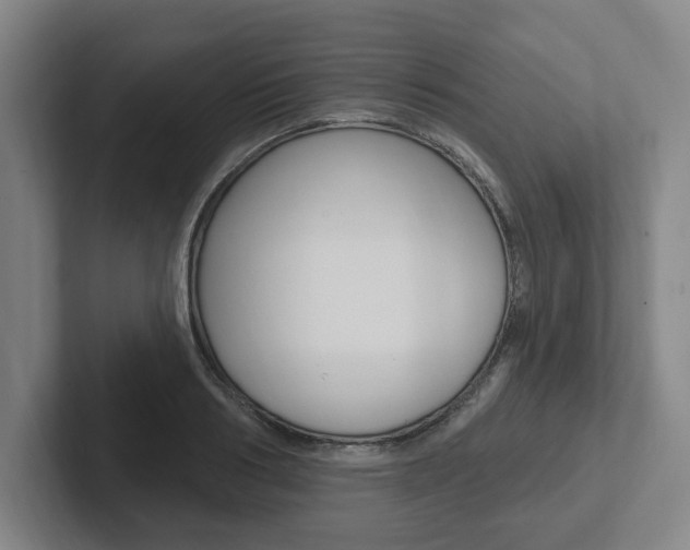 X0000102810986200808180949