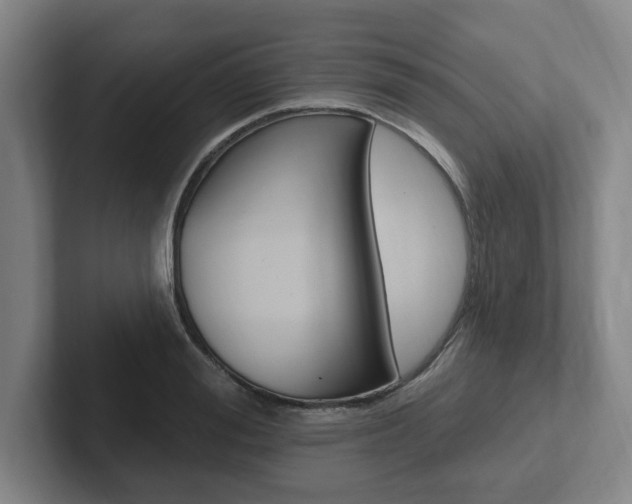 X0000102810988200808180949
