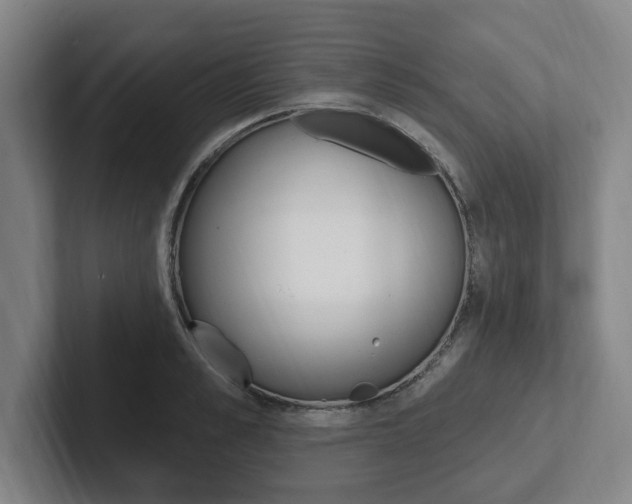 X0000102810989200808180949