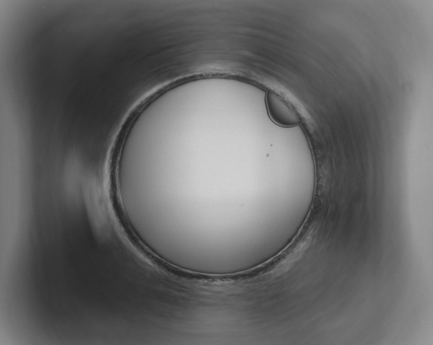 X0000102810991200808180949