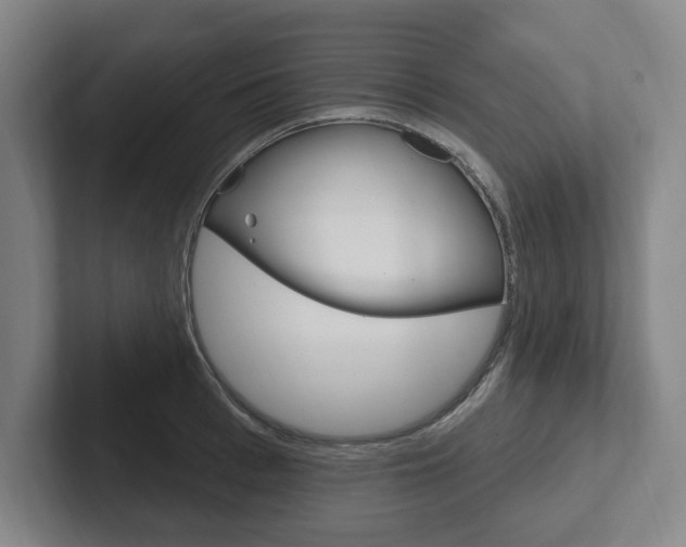 X0000102810993200808180949