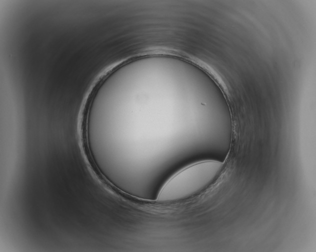 X0000102810995200808180949