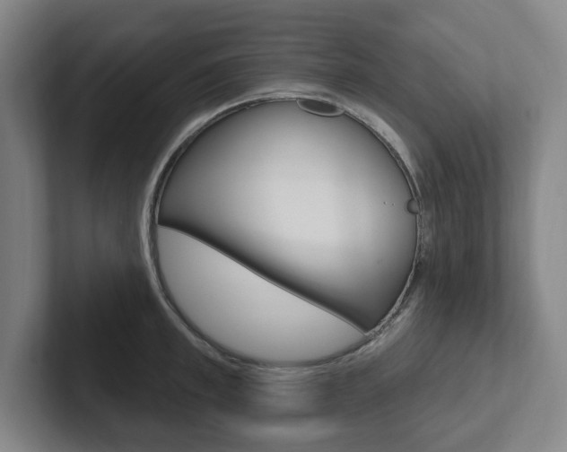 X0000102810997200808180949