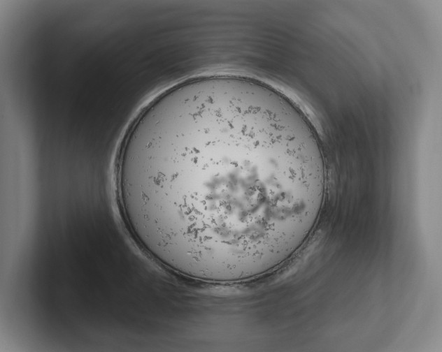 X0000102810998200808180949