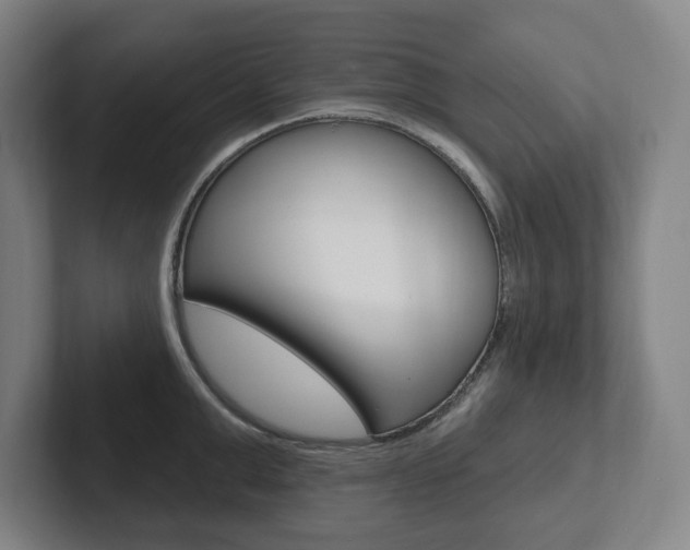 X0000102810999200808180949