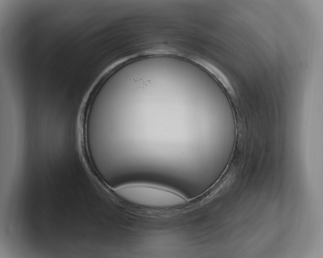 X0000102811000200808180949