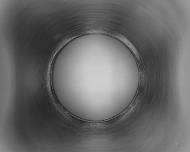 X0000102811002200808180949