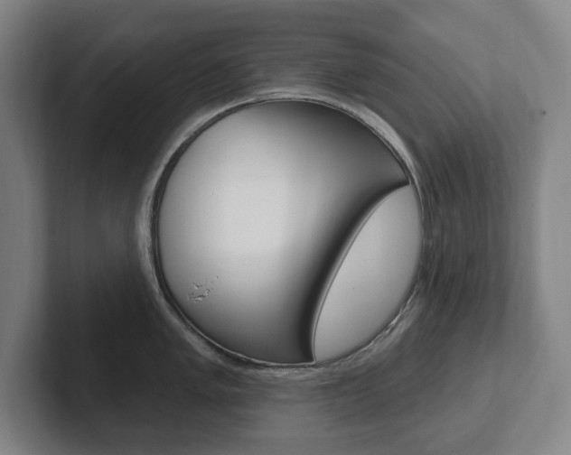 X0000102811005200808180949