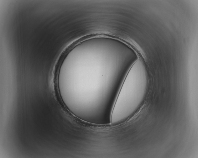 X0000102811020200808180948
