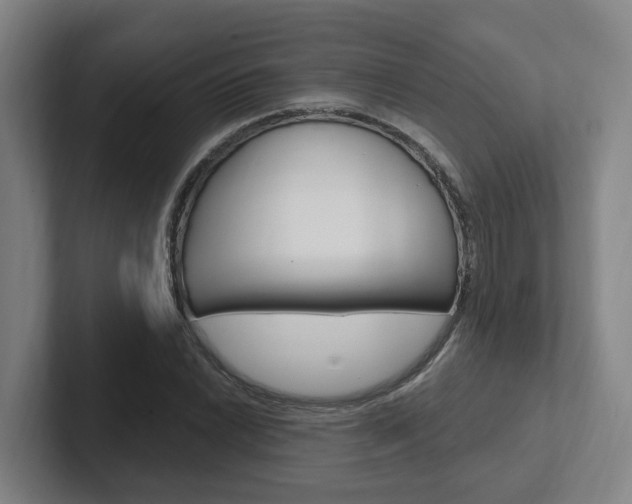 X0000102811022200808180948