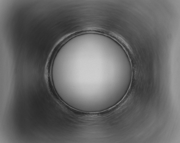 X0000102811024200808180948