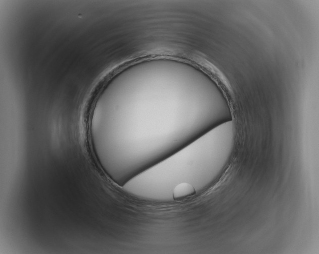 X0000102811027200808180949
