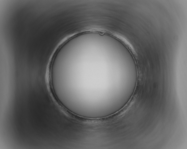 X0000102811040200808180949