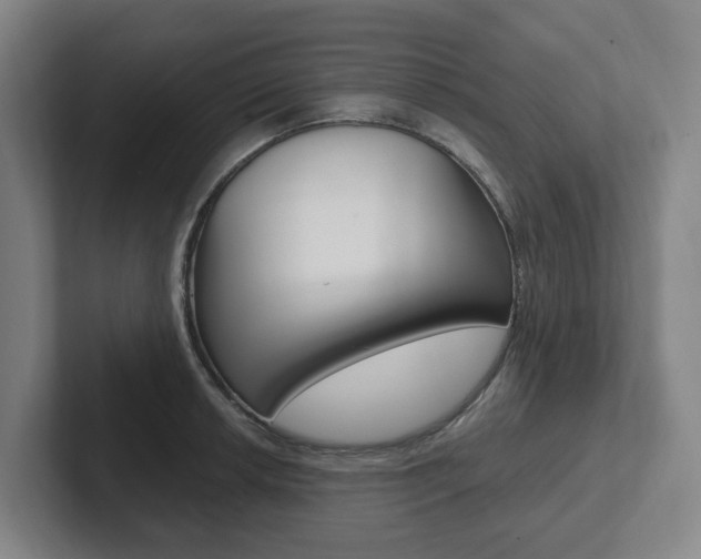 X0000102811042200808180949