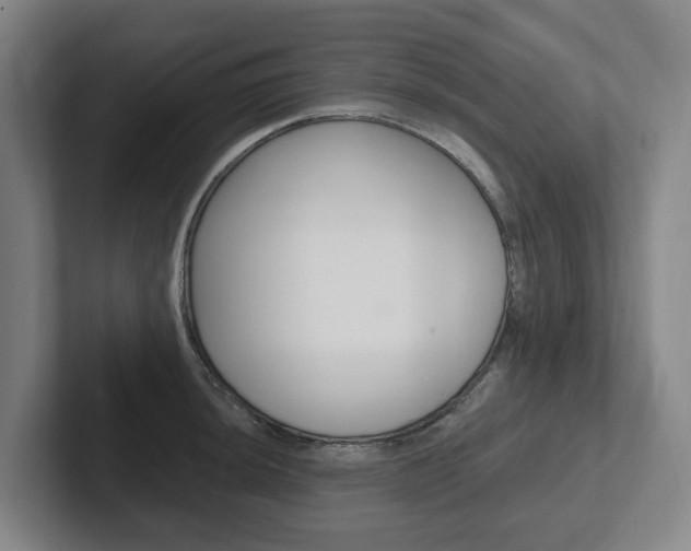 X0000102811044200808180949