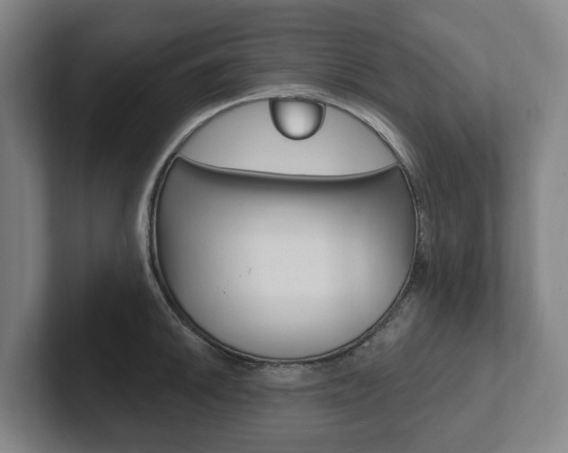 X0000102811046200808180949