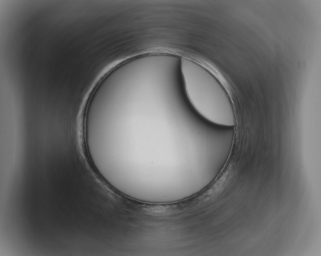 X0000102811048200808180949