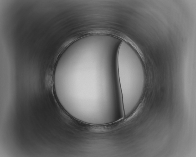 X0000102811049200808180949