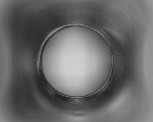 X0000102811052200808180949