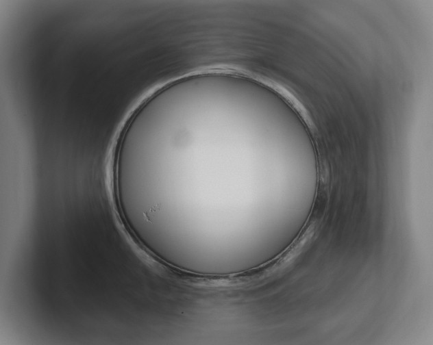 X0000102811054200808180949