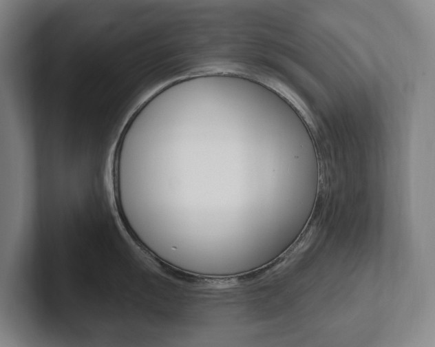 X0000102811055200808180949