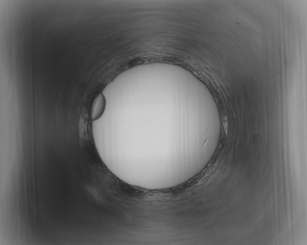 X0000102811059200808180948