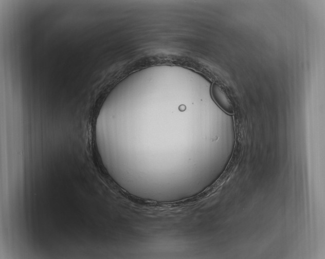 X0000102811061200808180948