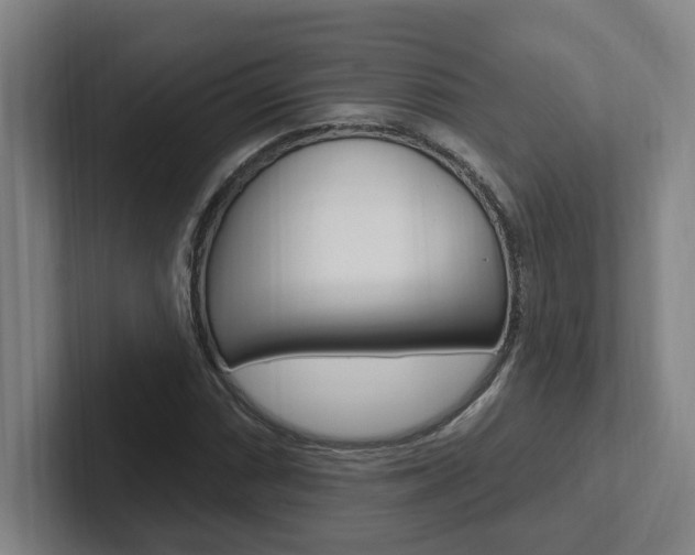 X0000102811066200808180948