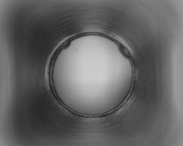 X0000102811068200808180948