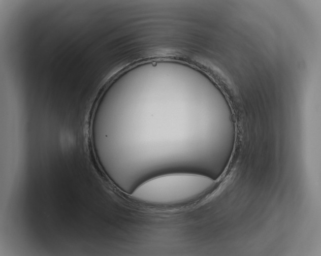 X0000102811073200808180948