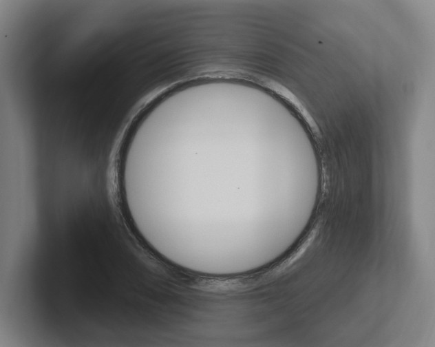 X0000102811074200808180948