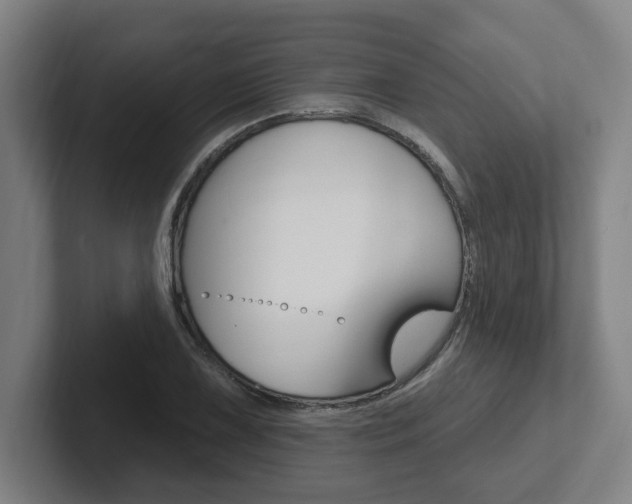 X0000102811075200808180948