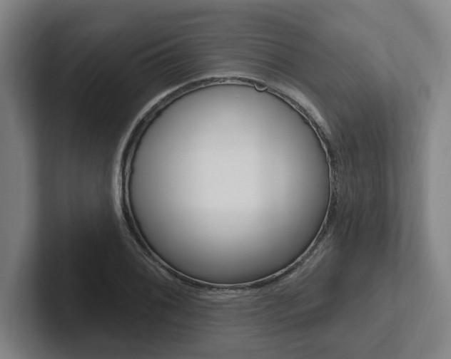 X0000102811076200808180948