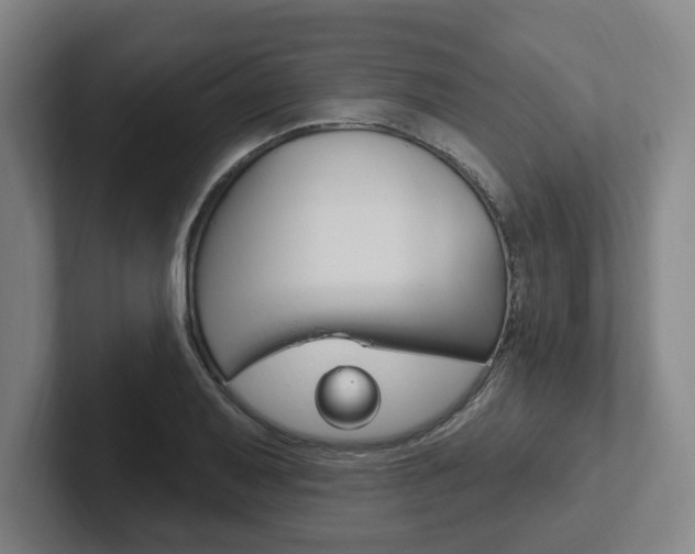X0000102811079200808180948