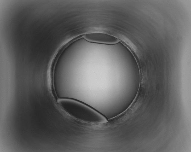 X0000102811080200808180948