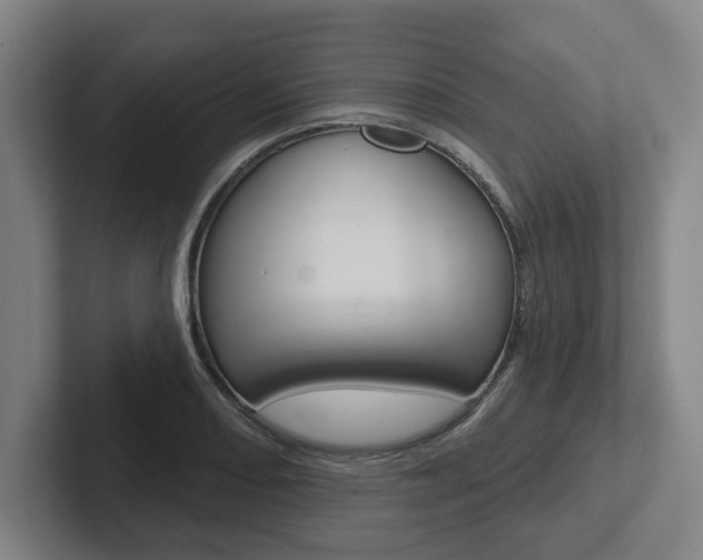 X0000102811082200808180948