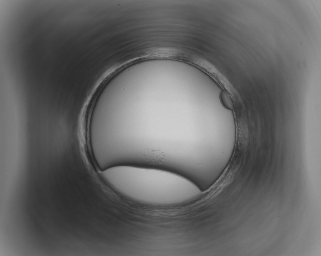 X0000102811083200808180948