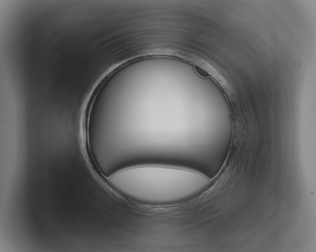 X0000102811084200808180948