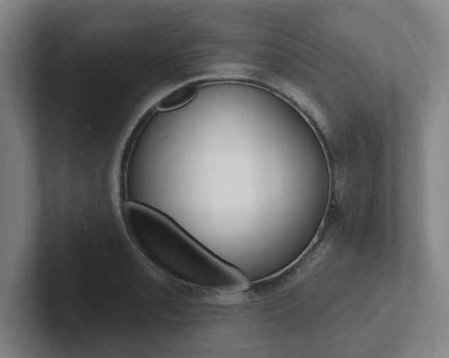 X0000102811085200808180948