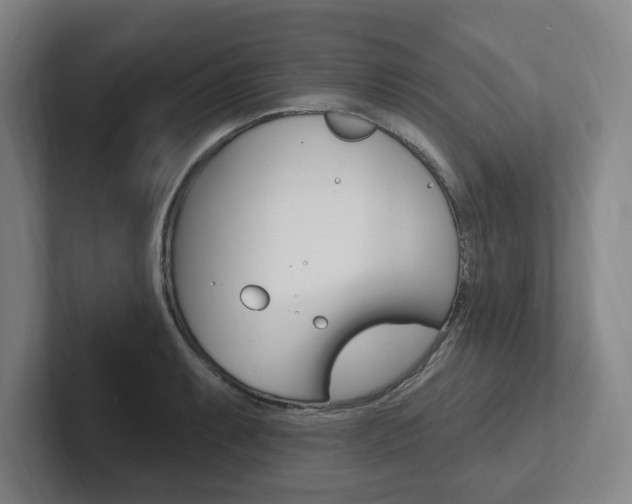 X0000102811087200808180948